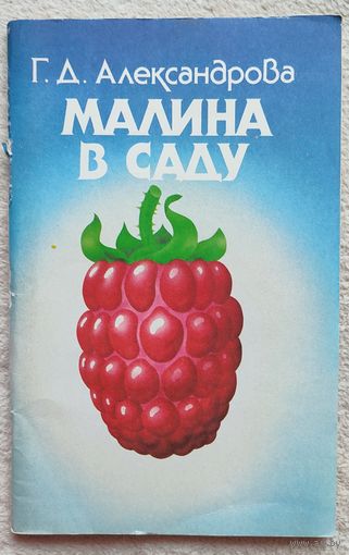 Малина в саду | Александров