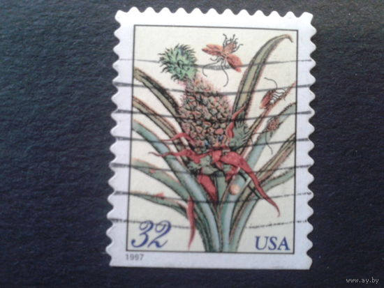 США 1997 стандарт, ананас