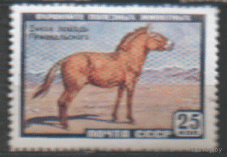 Заг. 2240. 1959. Лошадь Пржевальского. ЧиСт.