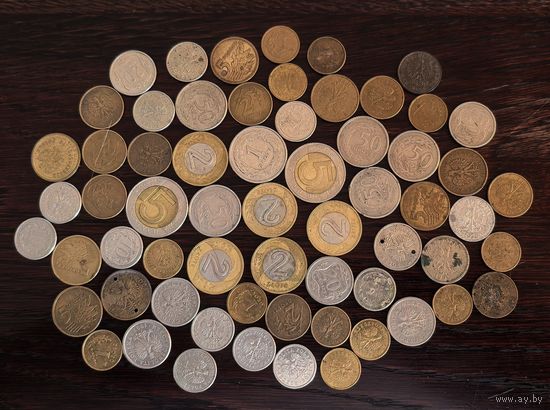 Монеты Польши с рубля