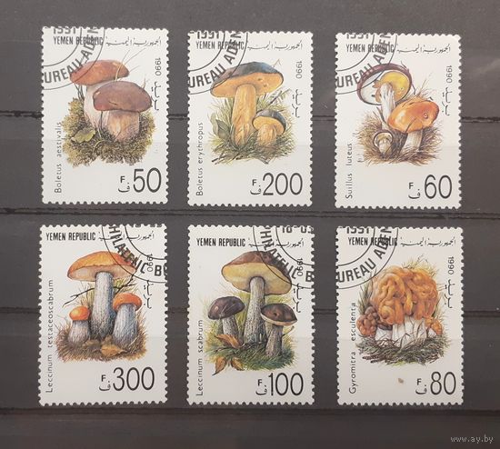 Йемен. 1990 год. Флора. Грибы
