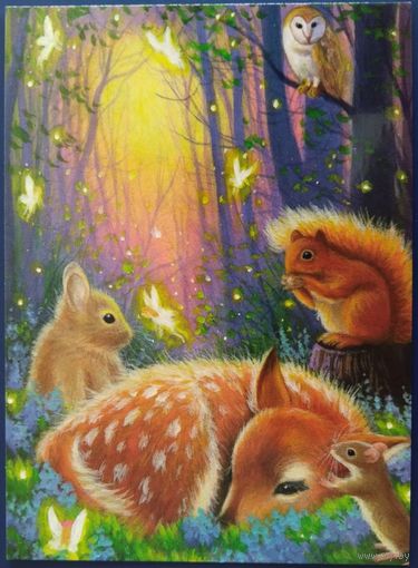 Лес мечты. Bridget Voth. Беларусь. 2020 г.