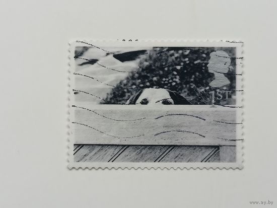 Великобритания 2001. Кошки и собаки
