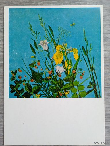 Малле. Цветы