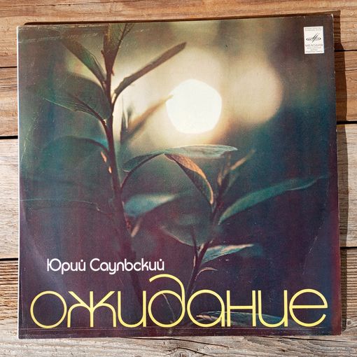 С. Ротару, Ансамбль "Мелодия", ВИА "Ариэль", И. Кобзон, ВИА "Пламя" - Юрий Саульский. Ожидание - АЗГ, 1981 г.