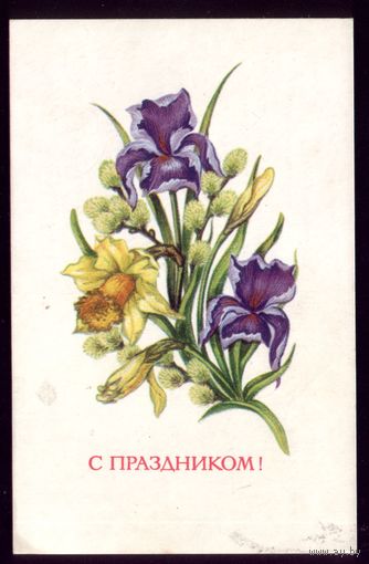 1970 год А.Соколова С праздником