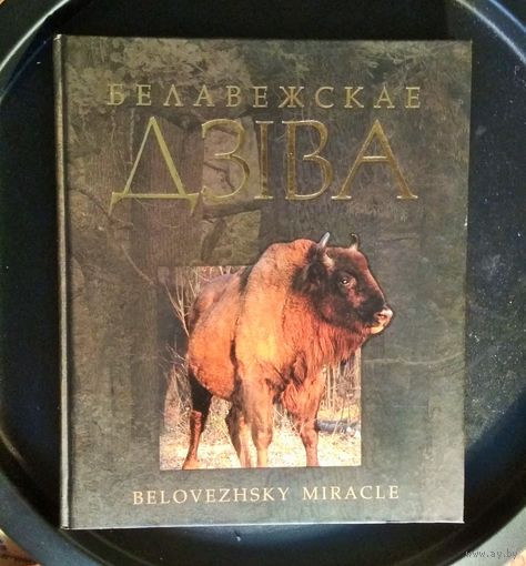 Книга альбом Белавежскае Дзіва 2006 г., 25 * 30 см., 312 стр., новая