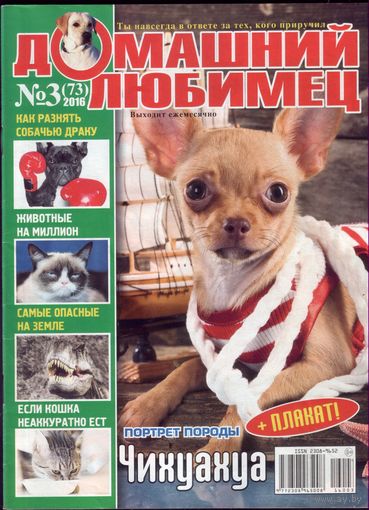 Домашний любимец #73