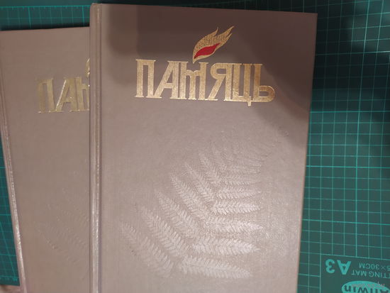 Памяць. Гомельски раен. 2 тома из двух в лоте.
