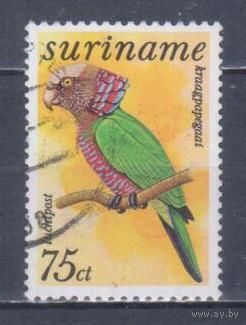 [823] Суринам 1977. Фауна.Птицы.Попугай. Гашеная марка.