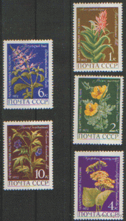 Заг. 4038/42. 1972. Лекарственные растения. ЧиСт.