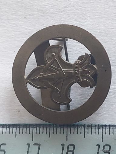 Значок Швеция