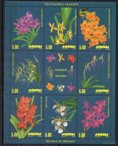 Абхазия 2000. Флора. Орхидеи малый лист  (456)