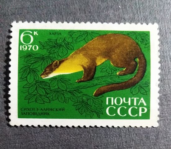 Марка СССР 1970 год Сихотэ-Алинский заповедник