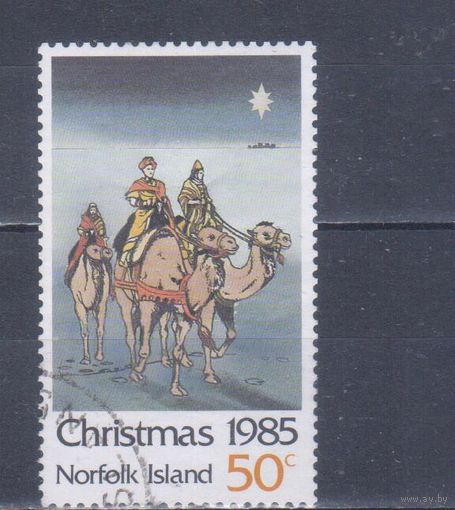 [2443] Норфолк 1985. Рождество.50 с. Гашеная марка.
