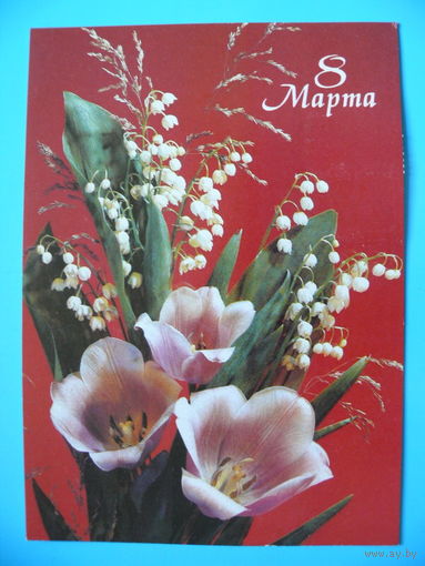 Дергилев И., 8 Марта, 1991, чистая.