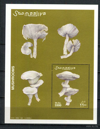 Сомали - 2002 - Грибы - [Mi. bl. 94] - 1 блок. MNH.  (Лот 177AX)