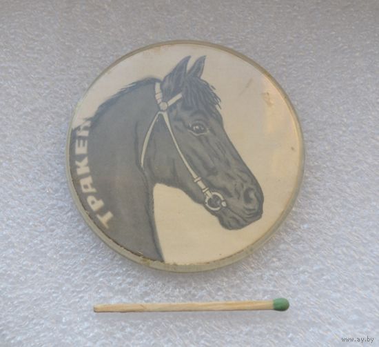 Тракененская порода.