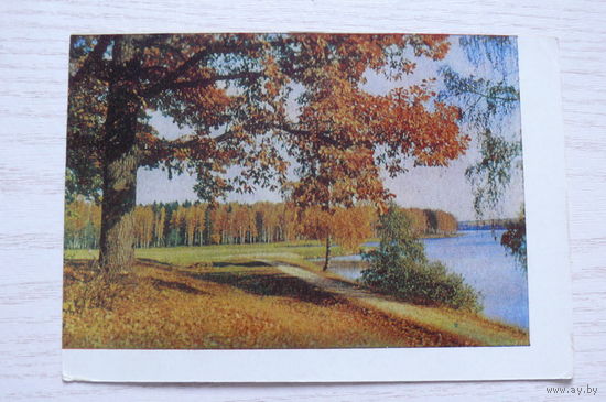 Природа. Подмосковье; 1963; чистая.