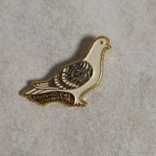Значок СССР. Голубь Черно-чистый белопоясный.  Не частый.