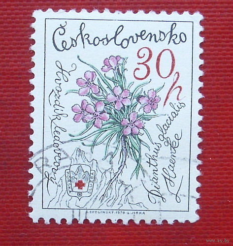 Чехословакия. Флора. ( 1 марка ) 1979 года. 7-15.