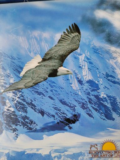 Шри Шри Рави Шинкар книга и аудиодиски