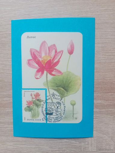 Календарик 1989