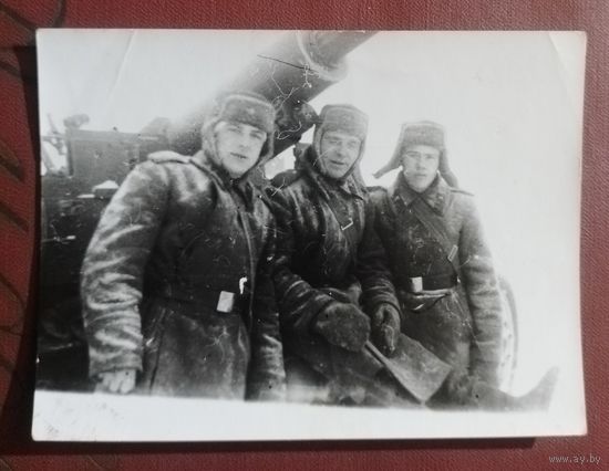 Фото в коллекцию