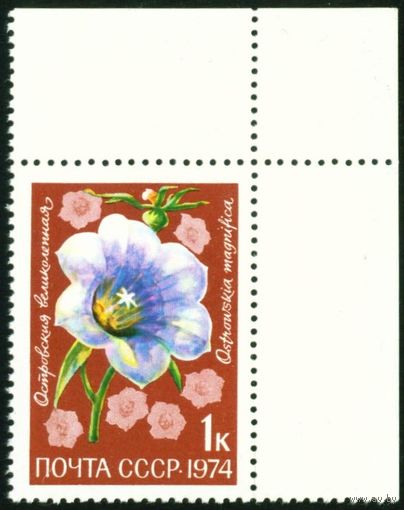 Цветы СССР 1974 год 1 марка