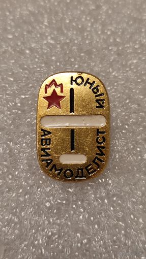 Знак значек Юный Авиамоделист ,200 лотов с 1 рубля!!!
