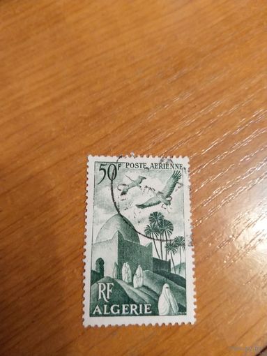 1949 французская колония Алжир фауна птицы архитектура (5-1)