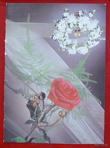 С днём свадьбы! Чистая. Двойная. 1990 года. Фото Киндровой. 252.