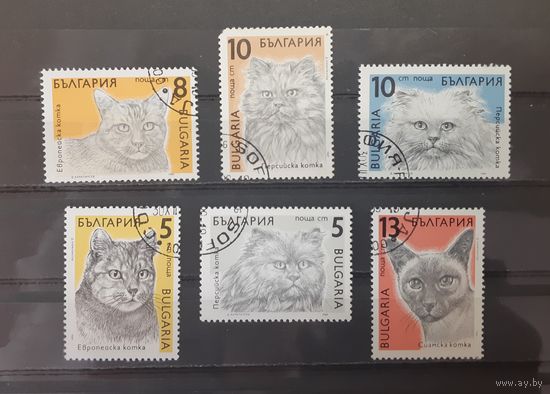 Болгария. 1989 год. Фауна. Кошки (6 марок)