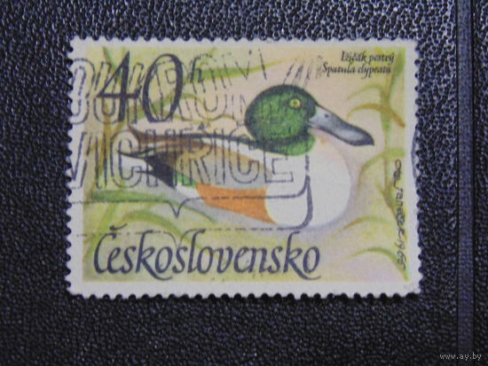 Чехословакия 1967 г. Широконоска.