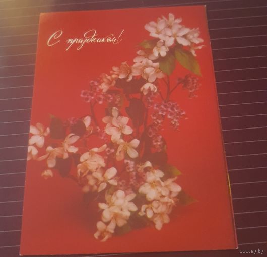 СССР - С праздником