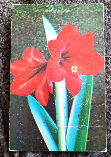 С праздником!