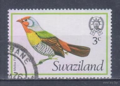[881] Свазиленд 1976. Фауна.Птицы. Гашеная марка.