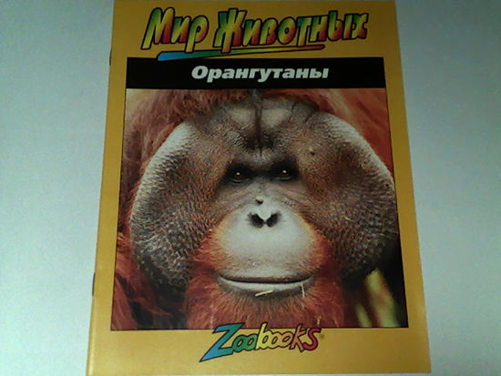 000217/ОРАНГУТАНЫ