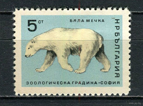 Болгария - 1966 - Белый медведь 5St - [Mi.1622] - 1 марка. MH.  (Лот 10Fu)-T25P6