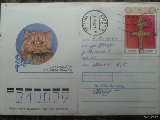 1998 хмк кошка прошло почту