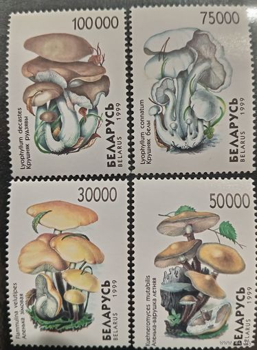 Беларусь 1999. Грибы. Полная серия