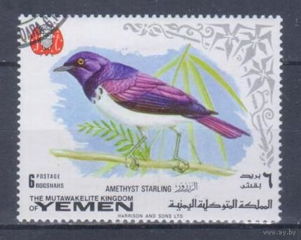 [161] Йемен 1969. Фауна.Птицы.Аметистовый скворец. Гашеная марка.