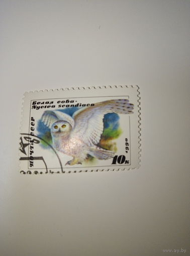 Марки СССР 1990 г. Белая сова 10к.
