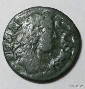 Боратинка 1664(3)