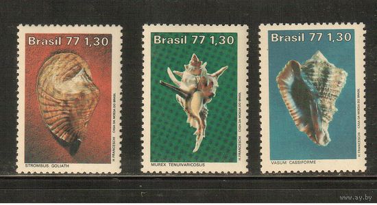 Бразилия-1977(Мих.1604-1606) , **  , Морская  Фауна, Раковины (полная серия)