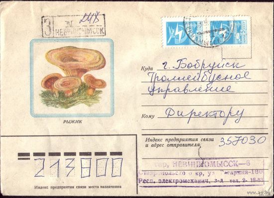 1982 год Рыжик 2