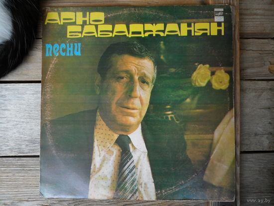 Раиса Мкртчян, Араик Бабаджанян, Эдита Пьеха, ВИА "Оризонт", Лев Лещенко, Боян Кодрич, Анна Герман - Арно Бабаджанян. Песни - РЗГ -  1981 г.