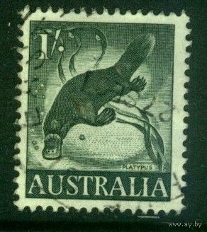 Австралия - 1959 [Mi. 297] Гашеная (AU04)