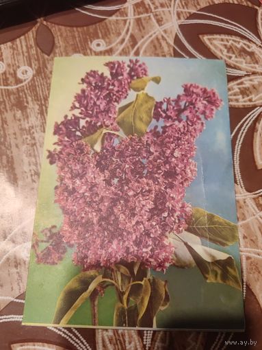 Открытка,подписана,телеграмма