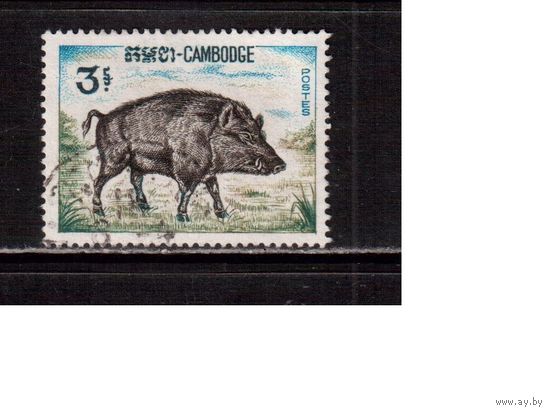 Камбоджа-1967,(Мих.212)  гаш. , Фауна, кабан(2)